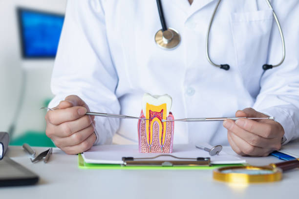 Best Weekend Emergency Dentist in Dixmoor, IL